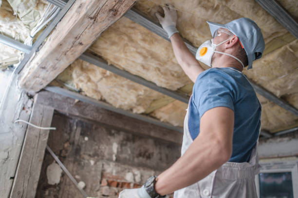 Best Residential Insulation in Plymouth, WI